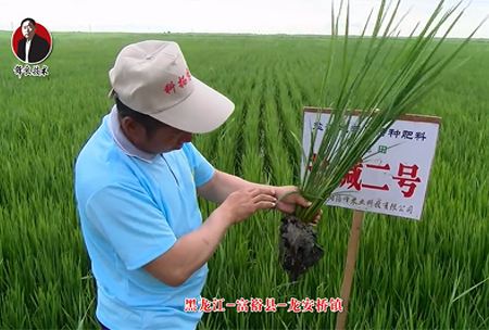 富?？h-龍安橋鎮(zhèn)